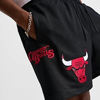 Men's Pro Standard Chicago Bulls NBA Souvenir Mesh Shorts