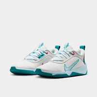 Big Kids' Nike Omni Multi-Court Casual Shoes