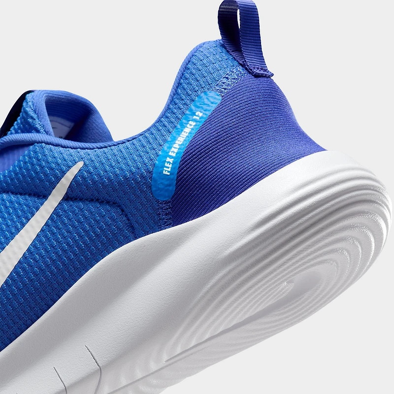 Men's Nike Flex Experience Run 12 Running Shoes
