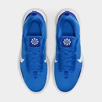 Men's Nike Flex Experience Run 12 Running Shoes