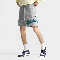 Men's Pro Standard Philadelphia Eagles NFL Living Large Fleece Shorts