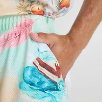Men's Jordan Essentials Printed Mesh Shorts