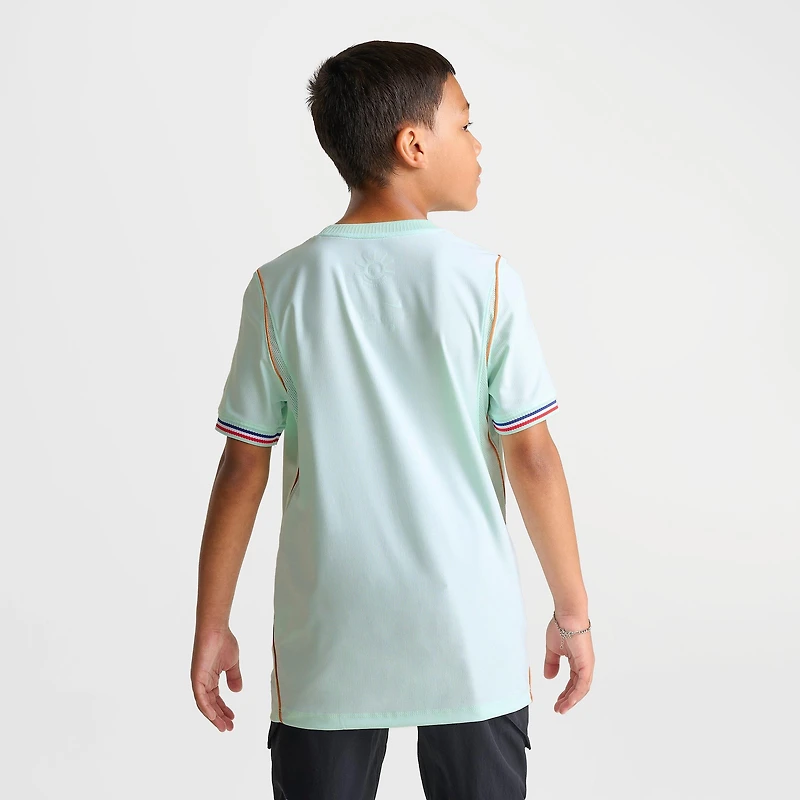Big Kids' Nike France 26 Stadium Away Dri-FIT Replica Soccer Jersey