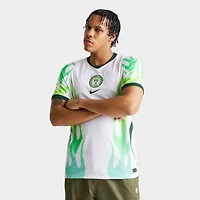 Men's Nike Nigeria 2026 Stadium Away Dri-FIT Replica Soccer Jersey