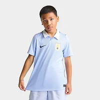 Big Kids' Nike Uruguay 26 Stadium Home Dri-FIT Replica Soccer Jersey