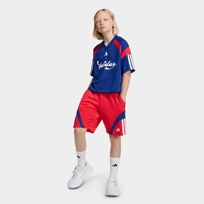 Big Kids' adidas Sportswear House of Tiro Shorts
