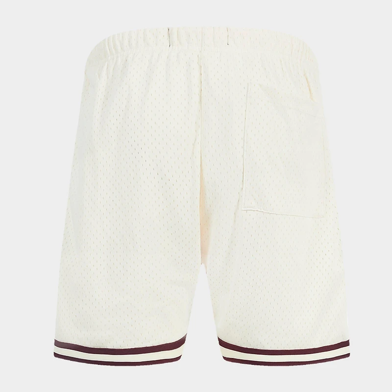 Men's Pro Standard Philadelphia Phillies MLB Retro Logo Mesh Shorts