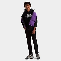 Big Kids' The North Face Half Dome Camp Fleece Pullover Hoodie