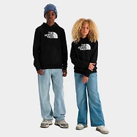 Big Kids' The North Face Evolution Half Dome Pullover Hoodie