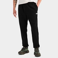 Men's The North Face Evolution Dome Jogger Pants