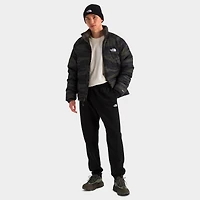 Men's The North Face Evolution Dome Jogger Pants