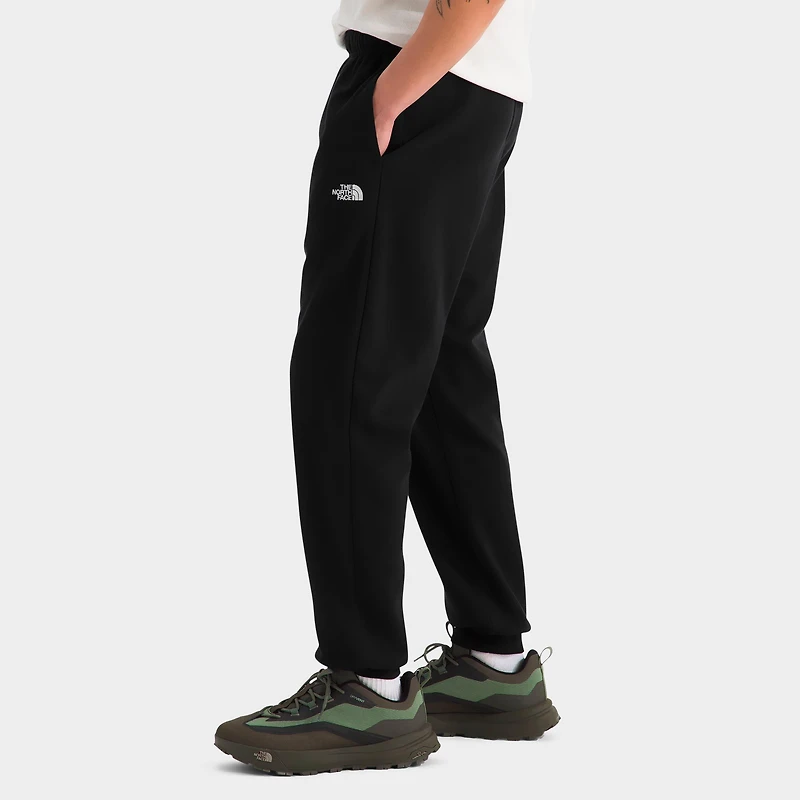 Men's The North Face Evolution Dome Jogger Pants