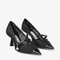 Aren Pump 65