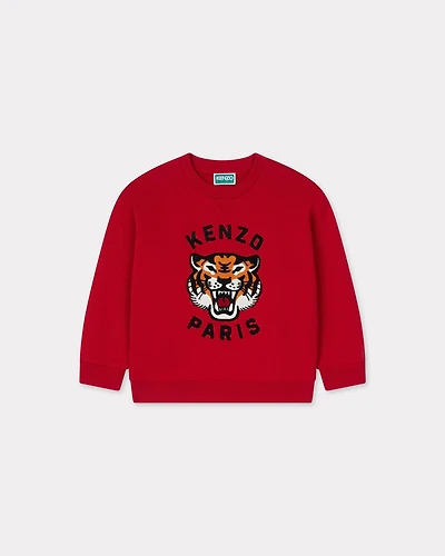 Embroidered sweatshirt cotton