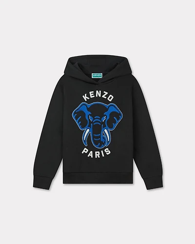 Embroidered hoodie cotton