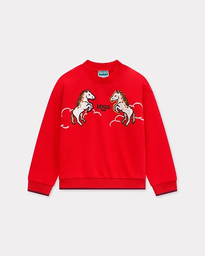 'Lunar New Year' embroidered sweatshirt french terry