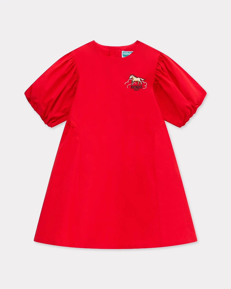 'Lunar New Year' embroidered dress poplin