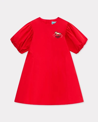 'Lunar New Year' embroidered dress poplin