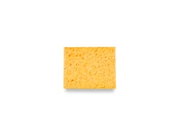 Sponge