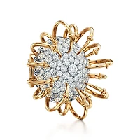 Apollo by Tiffany Brooch