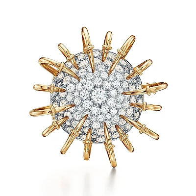 Apollo by Tiffany Brooch