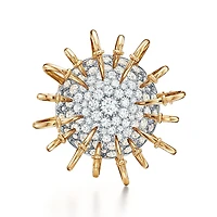 Apollo by Tiffany Brooch
