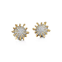 Apollo by Tiffany Ear Clips