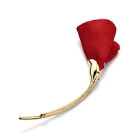 Elsa Peretti® Amapola Brooch