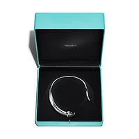 Elsa Peretti® Claw Necklace