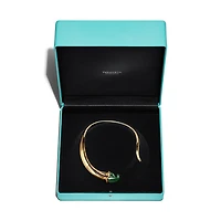 Elsa Peretti® Claw Necklace
