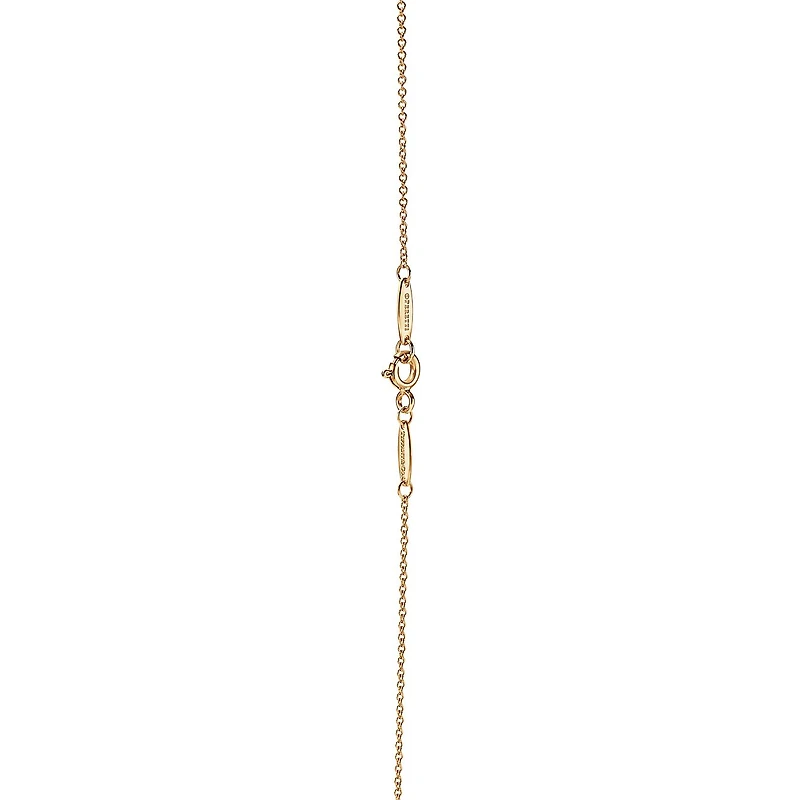 Elsa Peretti® Color by the Yard Pendant