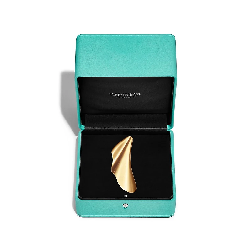 Elsa Peretti® High Tide Brooch