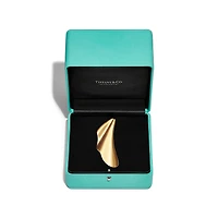 Elsa Peretti® High Tide Brooch