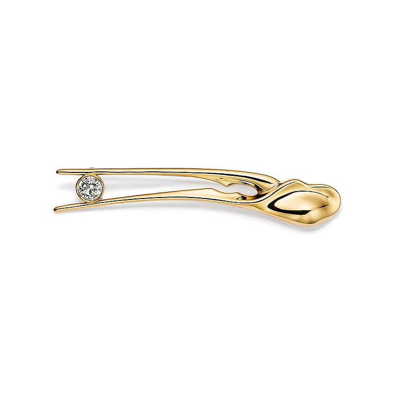 Elsa Peretti® Scorpion Brooch