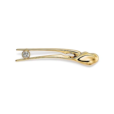 Elsa Peretti® Scorpion Brooch