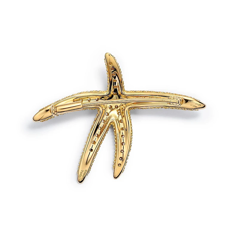 Elsa Peretti® Starfish Brooch