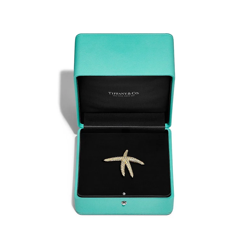 Elsa Peretti® Starfish Brooch