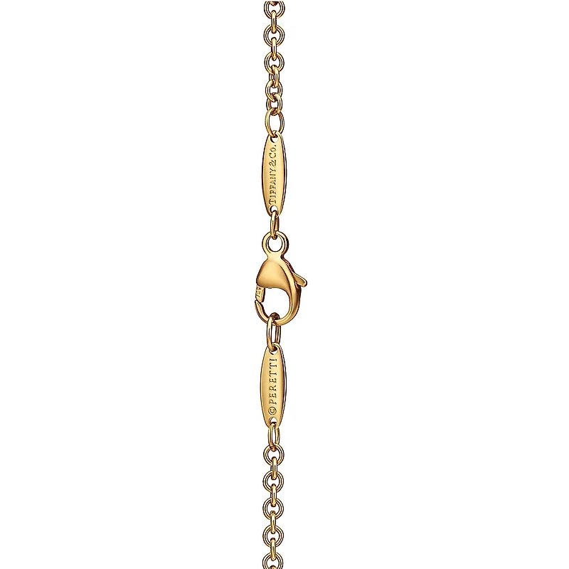 Elsa Peretti® Starfish Necklace