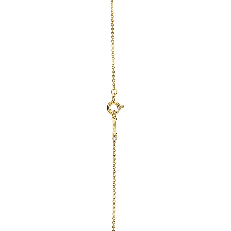 Paloma Picasso® Loving Heart Pendant 