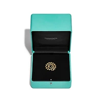 Paloma Picasso® Olive Leaf Brooch