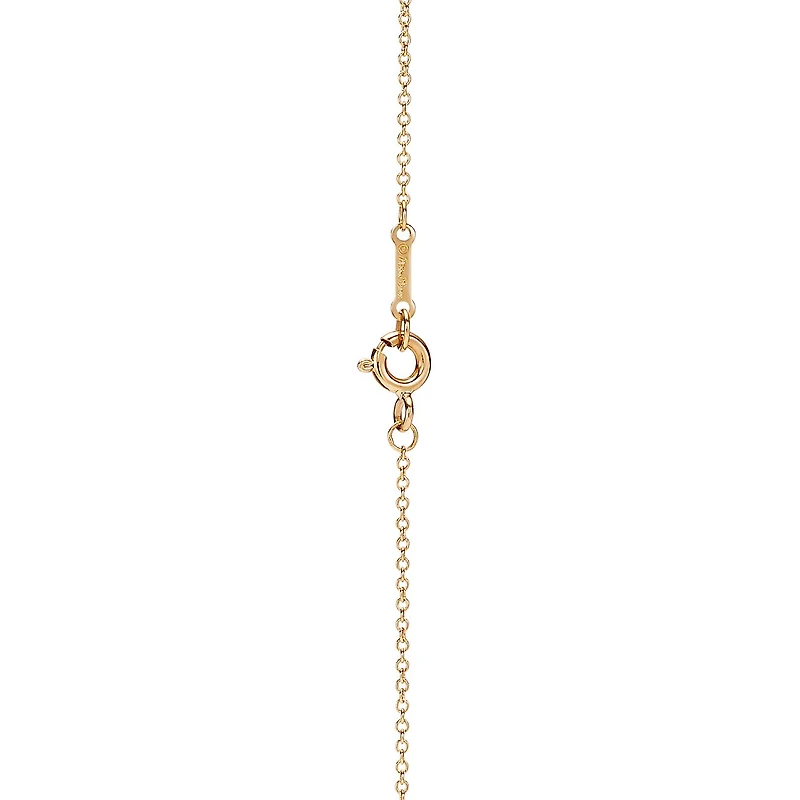 Paloma Picasso® Olive Leaf Pendant