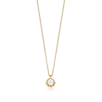 Paloma Picasso® Olive Leaf Pendant