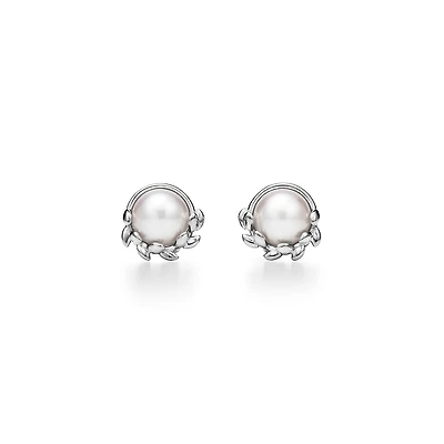 Paloma Picasso® Olive Leaf Stud Earrings