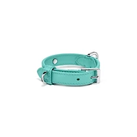 Pet Essentials Collar
