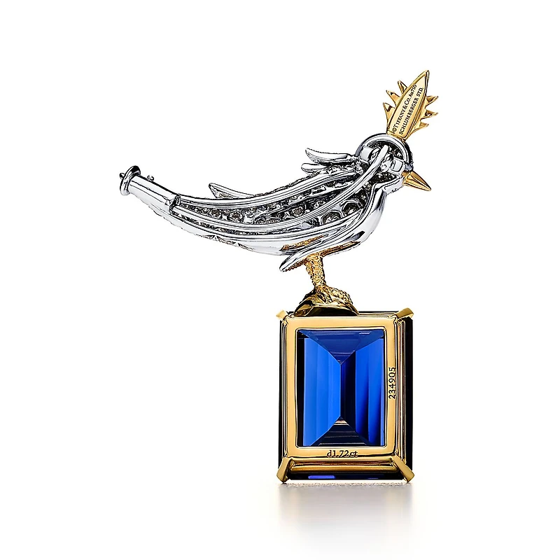 Schlumberger by Tiffany & Co.™ Bird on a Rock Brooch
