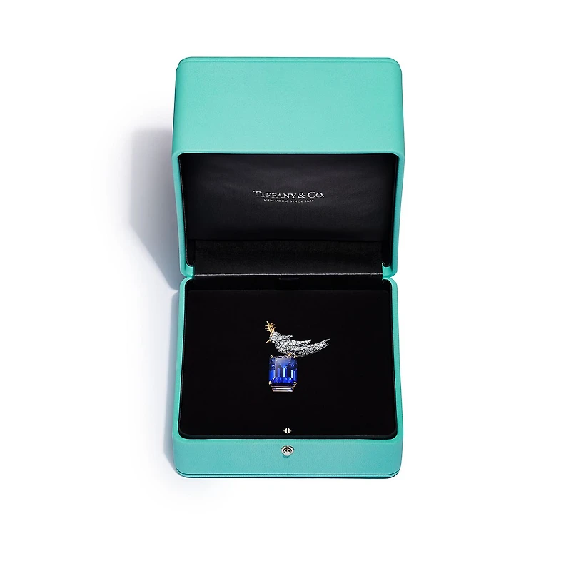 Schlumberger by Tiffany & Co.™ Bird on a Rock Brooch