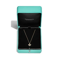 Sixteen Stone by Tiffany Pendant