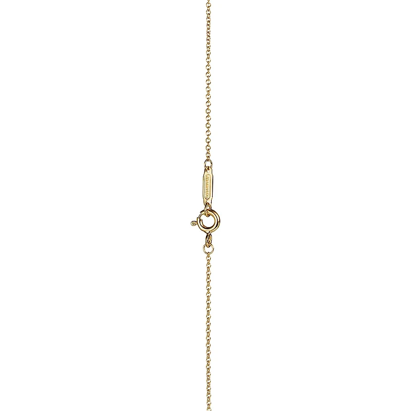 Tiffany 1837™ Interlocking Circles Pendant