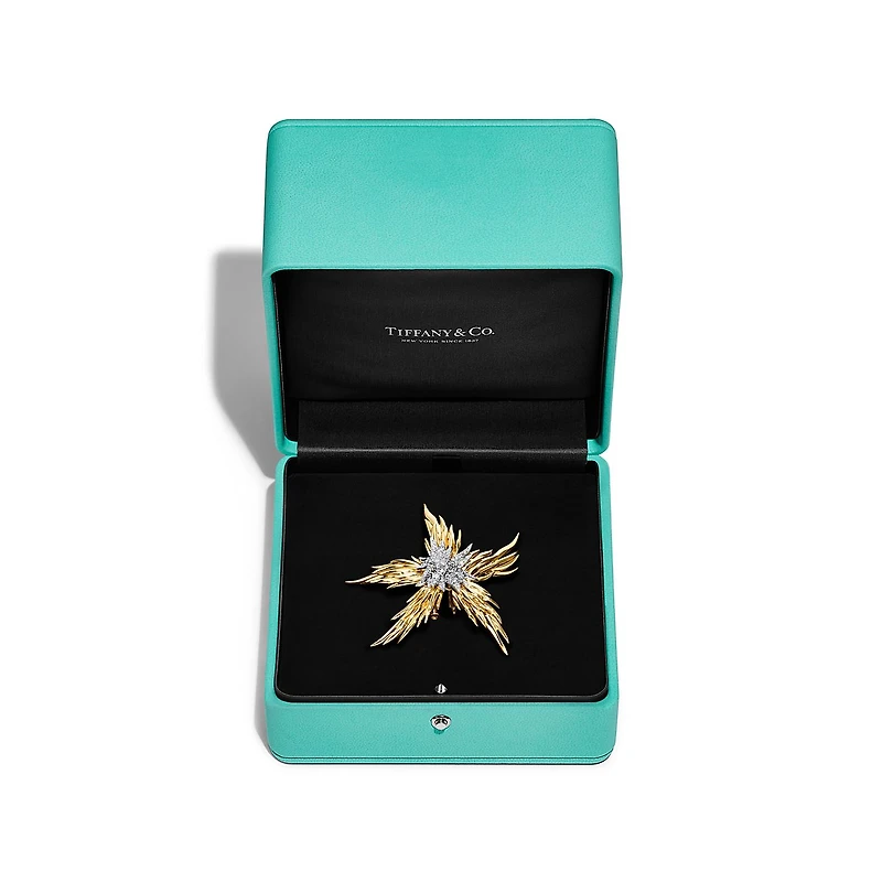 Tiffany & Co. Schlumberger Paris Flames Brooch