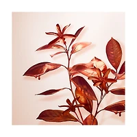 Tiffany & Co. Rose Gold Intense